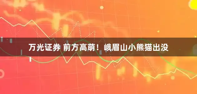 万光证券 前方高萌！峨眉山小熊猫出没