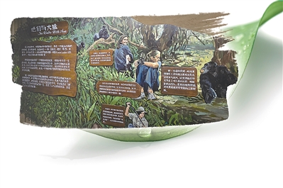 华利配资 跨越山海的动物保育接力